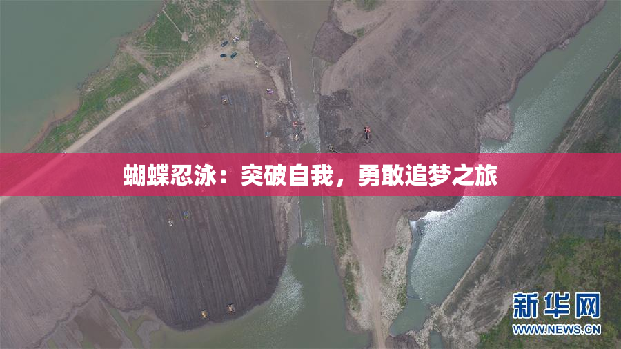 蝴蝶忍泳：突破自我，勇敢追梦之旅