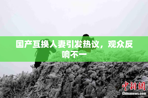 国产互换人妻引发热议，观众反响不一