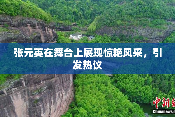 张元英在舞台上展现惊艳风采，引发热议