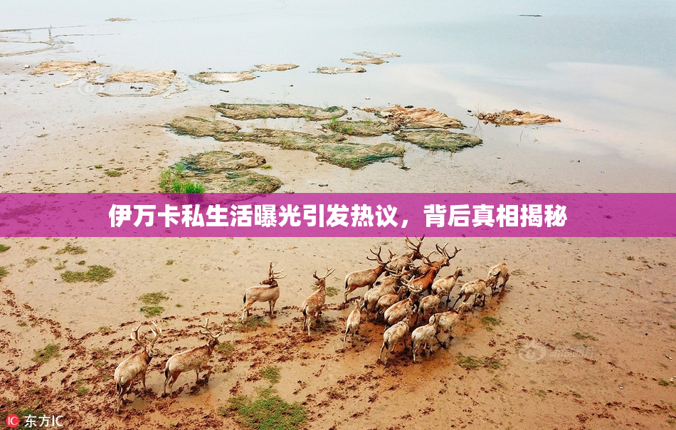 伊万卡私生活曝光引发热议，背后真相揭秘
