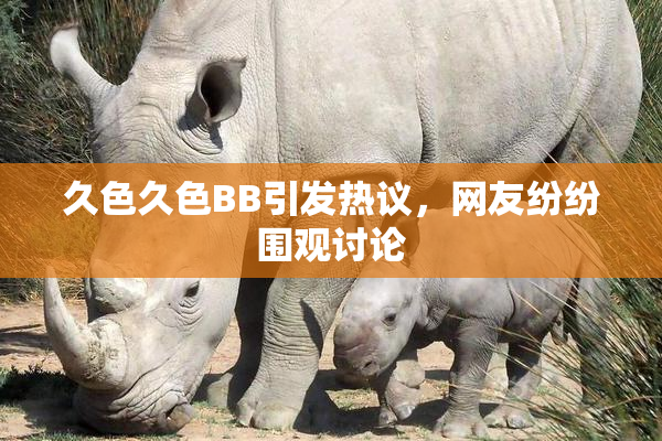 久色久色BB引发热议，网友纷纷围观讨论