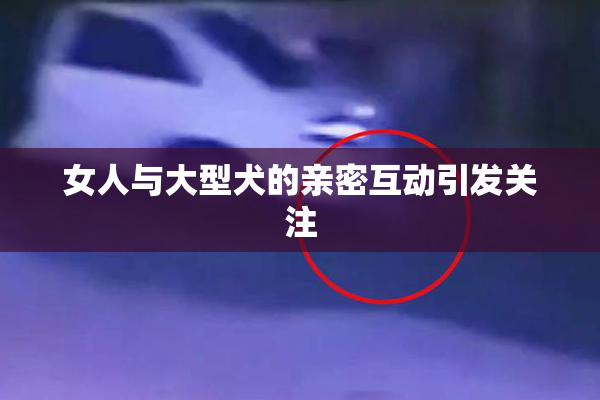女人与大型犬的亲密互动引发关注