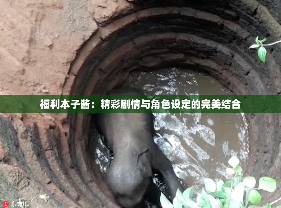 福利本子酱：精彩剧情与角色设定的完美结合