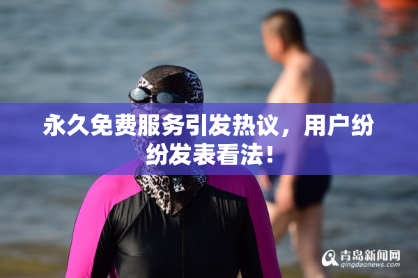 永久免费服务引发热议，用户纷纷发表看法！