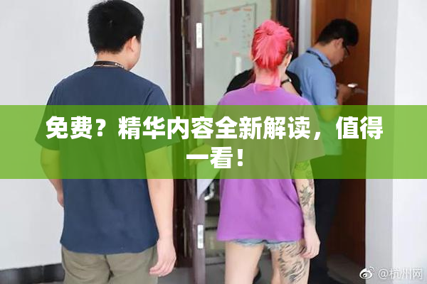 免费？精华内容全新解读，值得一看！