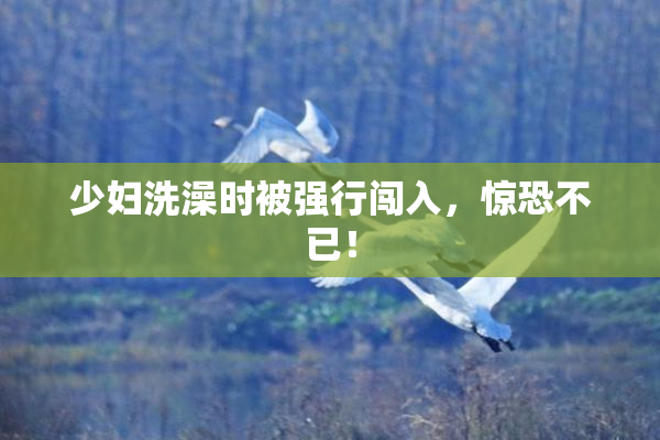 少妇洗澡时被强行闯入，惊恐不已！