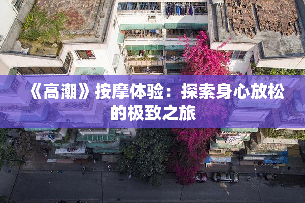 《高潮》按摩体验：探索身心放松的极致之旅