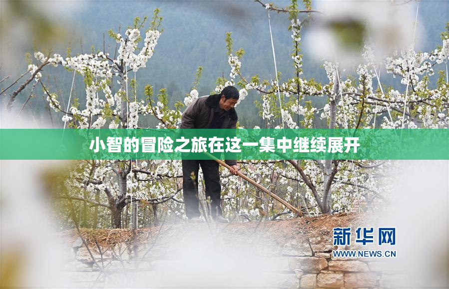 小智的冒险之旅在这一集中继续展开
