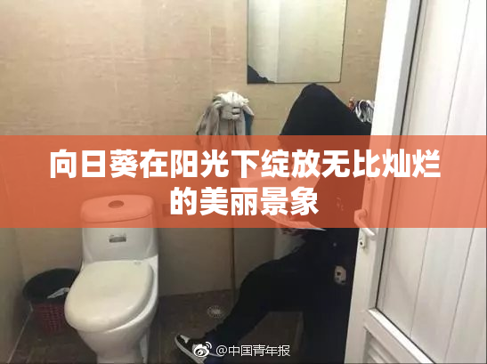 向日葵在阳光下绽放无比灿烂的美丽景象