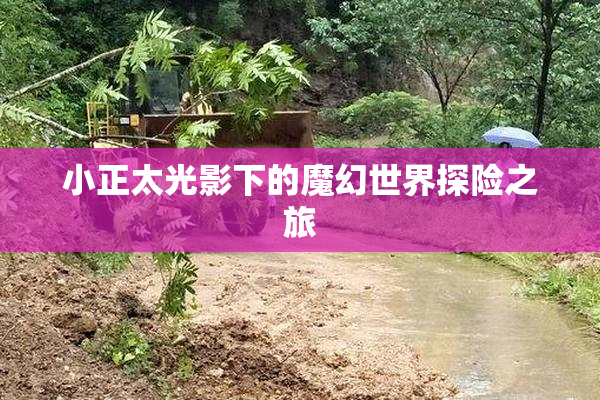 小正太光影下的魔幻世界探险之旅