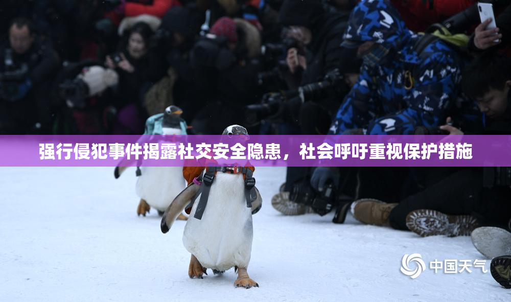 强行侵犯事件揭露社交安全隐患，社会呼吁重视保护措施