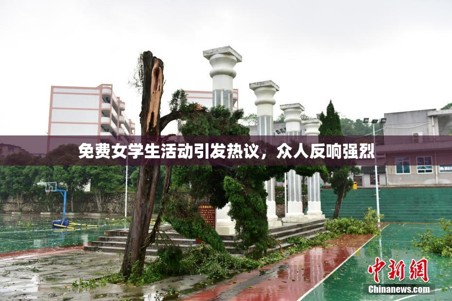 免费女学生活动引发热议，众人反响强烈