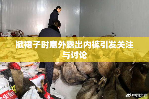 掀裙子时意外露出内裤引发关注与讨论