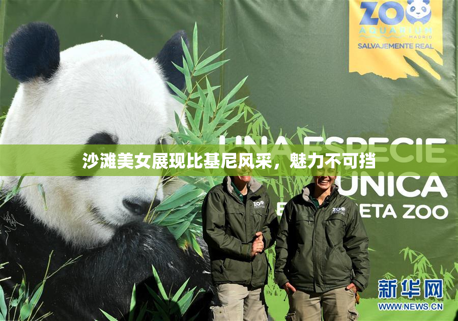 沙滩美女展现比基尼风采，魅力不可挡