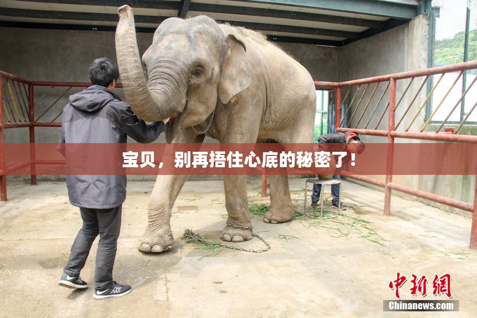 宝贝，别再捂住心底的秘密了！