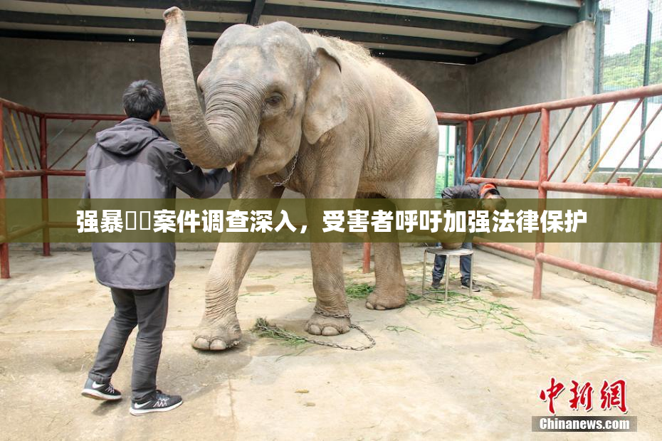 强暴亂倫案件调查深入，受害者呼吁加强法律保护