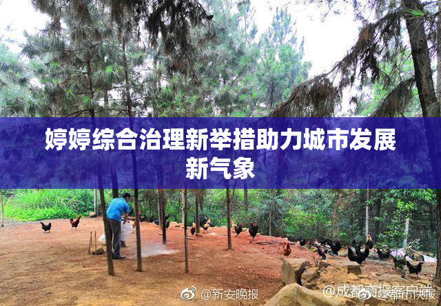 婷婷综合治理新举措助力城市发展新气象