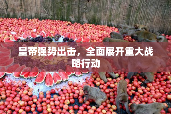皇帝强势出击，全面展开重大战略行动
