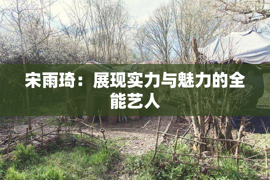 宋雨琦：展现实力与魅力的全能艺人