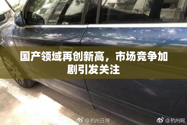 国产领域再创新高，市场竞争加剧引发关注