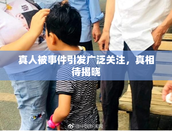 真人被事件引发广泛关注，真相待揭晓