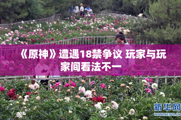 《原神》遭遇18禁争议 玩家与玩家间看法不一