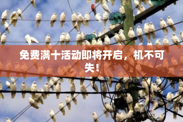 免费满十活动即将开启，机不可失！