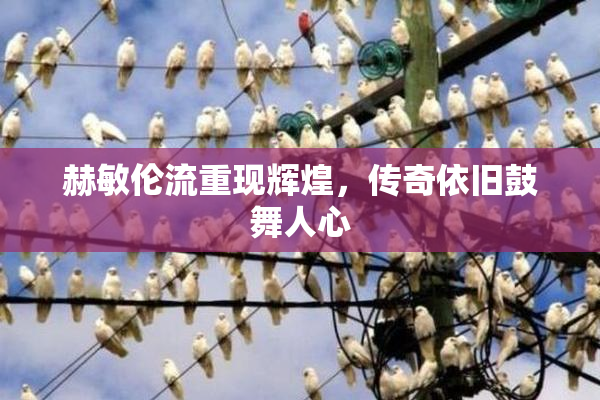 赫敏伦流重现辉煌，传奇依旧鼓舞人心