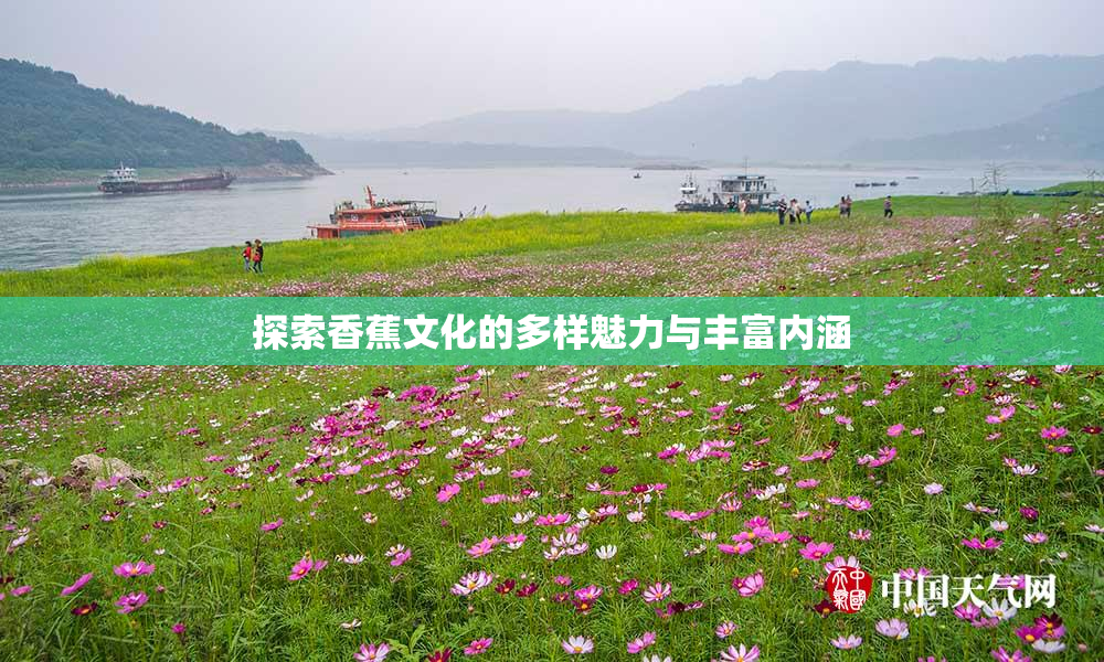 探索香蕉文化的多样魅力与丰富内涵