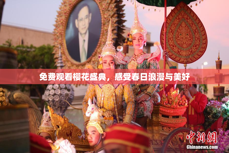 免费观看樱花盛典，感受春日浪漫与美好