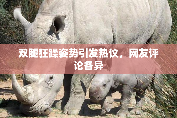 双腿狂躁姿势引发热议，网友评论各异