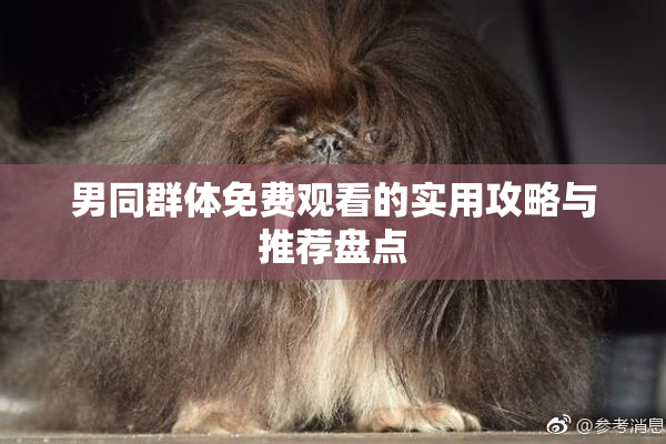 男同群体免费观看的实用攻略与推荐盘点