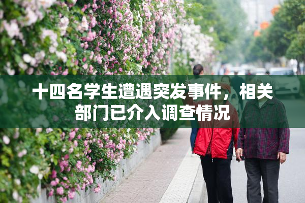 十四名学生遭遇突发事件，相关部门已介入调查情况
