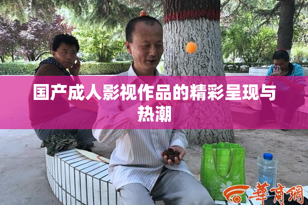 国产成人影视作品的精彩呈现与热潮