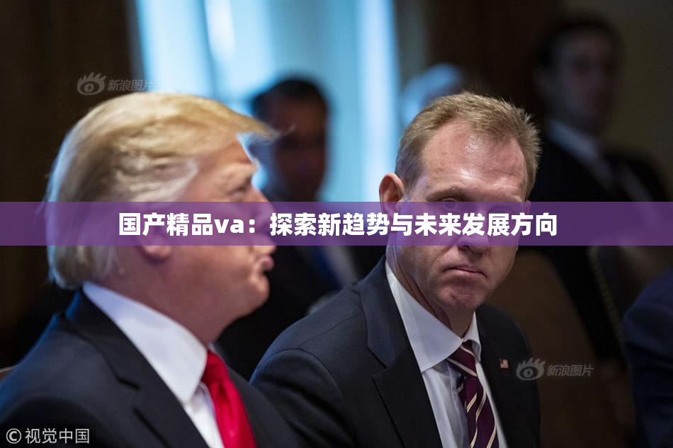 国产精品va：探索新趋势与未来发展方向