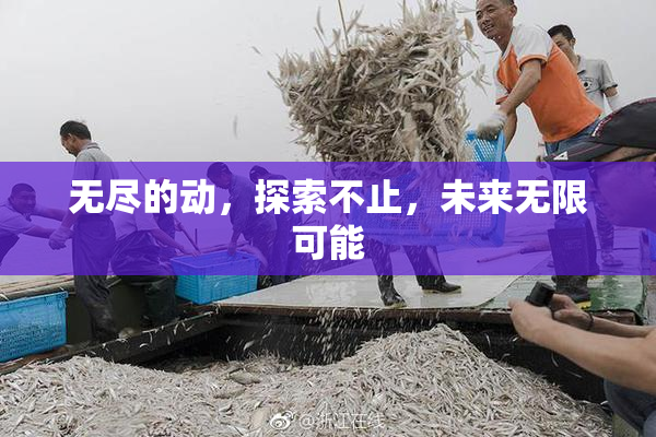 无尽的动，探索不止，未来无限可能