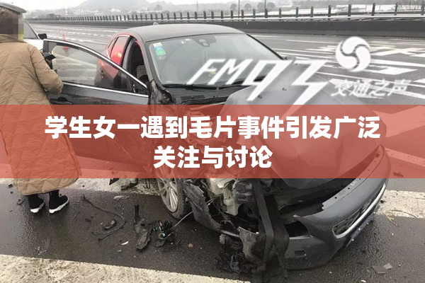 学生女一遇到毛片事件引发广泛关注与讨论