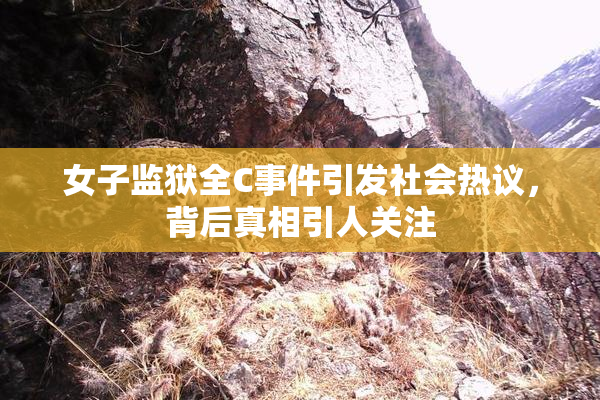 女子监狱全C事件引发社会热议，背后真相引人关注