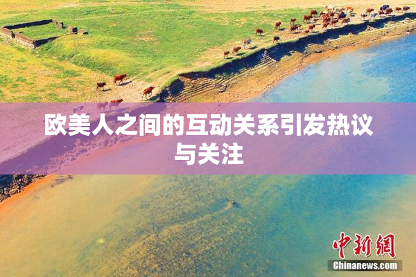 欧美人之间的互动关系引发热议与关注