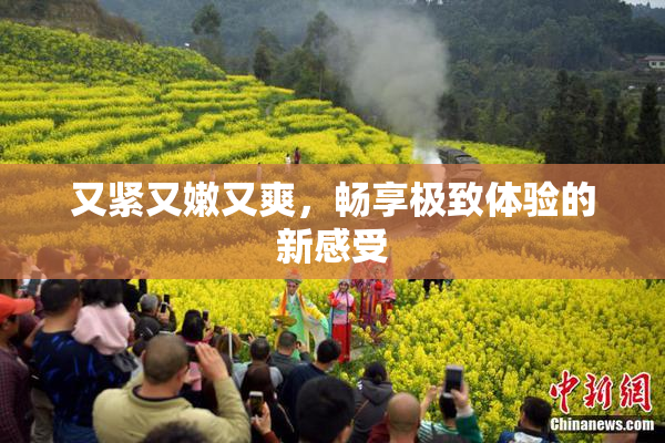 又紧又嫩又爽，畅享极致体验的新感受