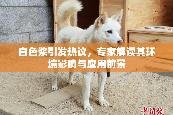 白色浆引发热议，专家解读其环境影响与应用前景