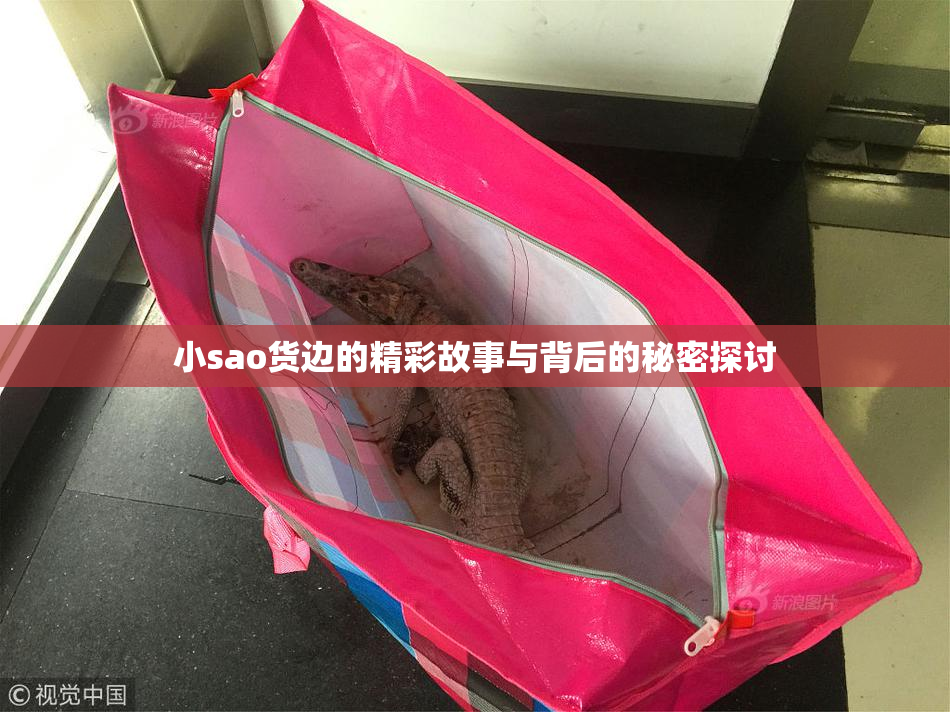 小sao货边的精彩故事与背后的秘密探讨