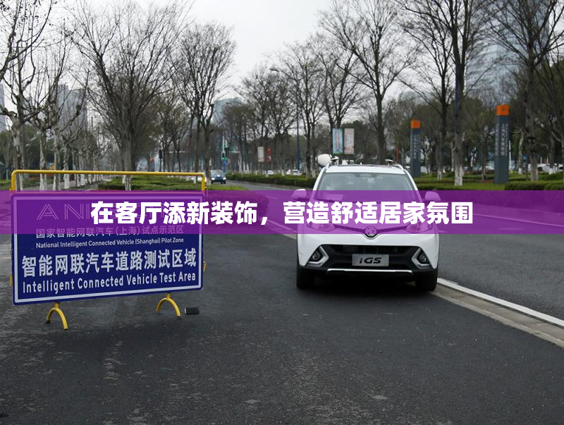 在客厅添新装饰，营造舒适居家氛围