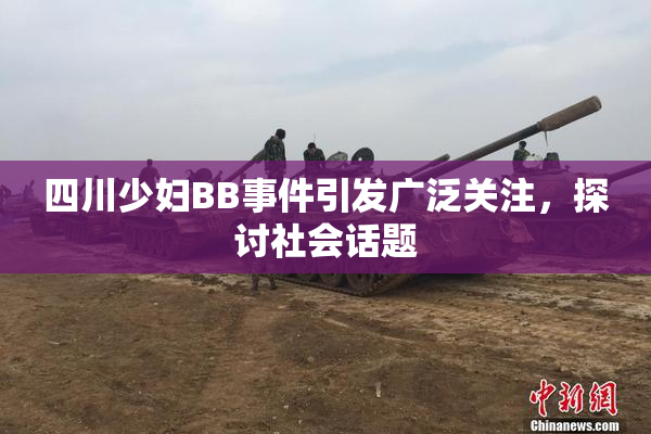 四川少妇BB事件引发广泛关注，探讨社会话题