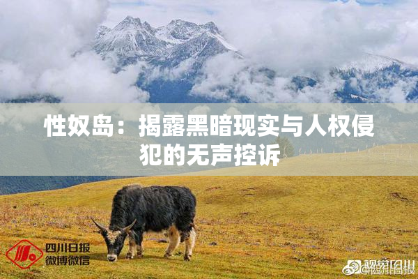 性奴岛：揭露黑暗现实与人权侵犯的无声控诉