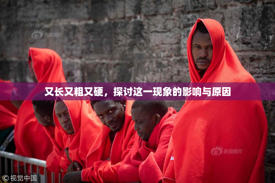 又长又粗又硬，探讨这一现象的影响与原因