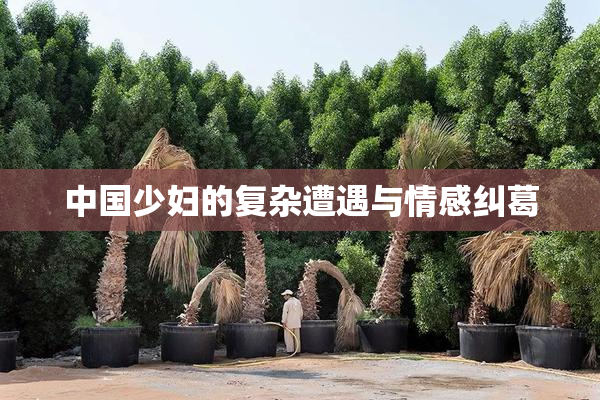中国少妇的复杂遭遇与情感纠葛