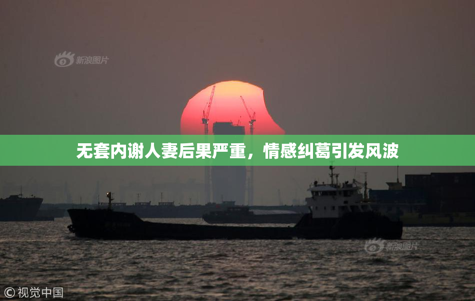 无套内谢人妻后果严重，情感纠葛引发风波