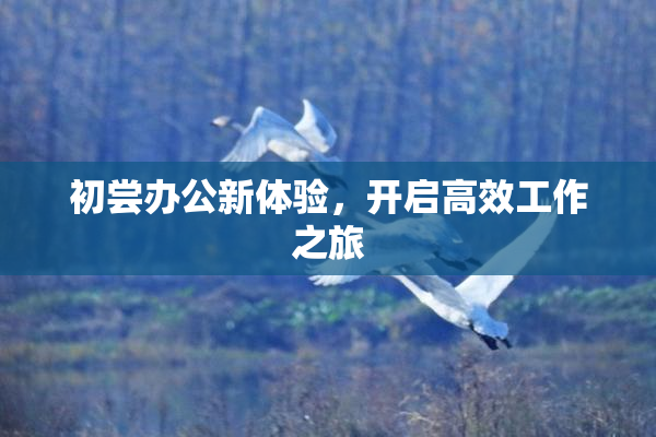 初尝办公新体验，开启高效工作之旅