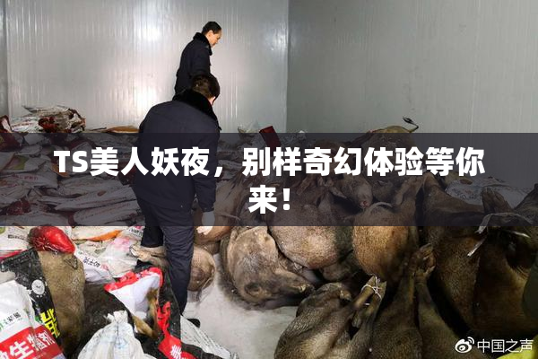 TS美人妖夜，别样奇幻体验等你来！